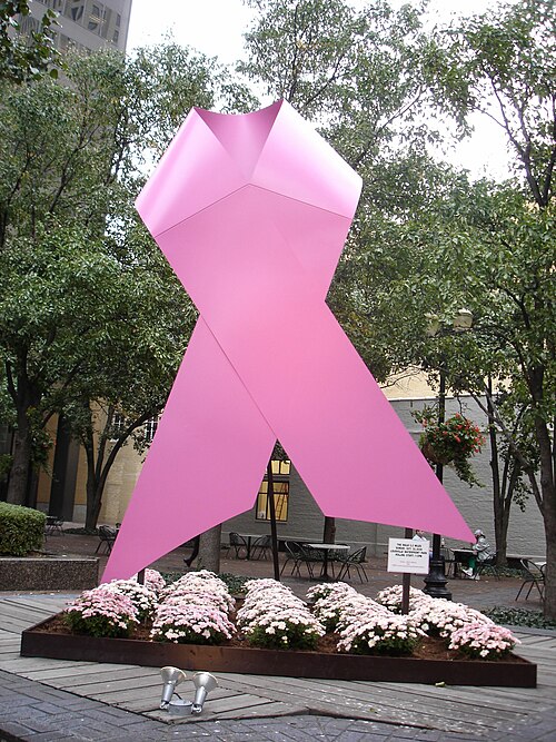 The Woman in Pink